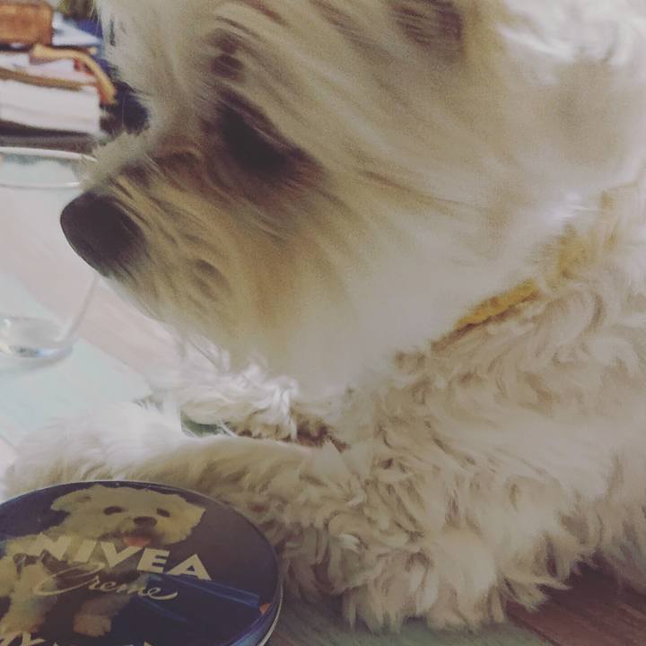 36c696ba 22cd 45cd 87d6 99cad74b84a1 1606223532740