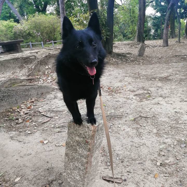 36c69b6e e3fe 4c8b a54a 04cd156a96ae 1619308237440