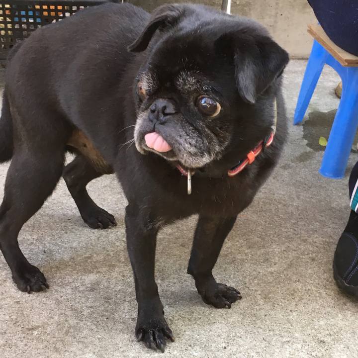 36c6c38a 4e72 427e 9864 29e2bf3069b5 1543489181700