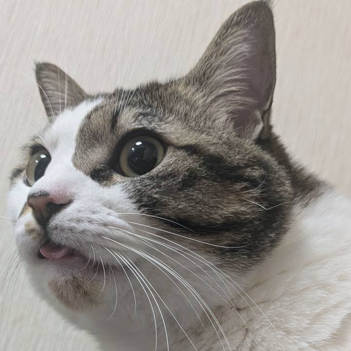 36c71195 642a 42cb 87f1 92c4b25a1e57 1733788985841