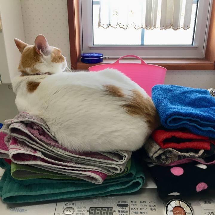 36c719b2 4013 4df6 a363 08b197d5c552 1529129718041