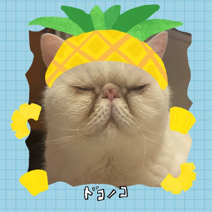 36c73699 9385 4c51 93c7 85bc634e4cc1 1783342661227