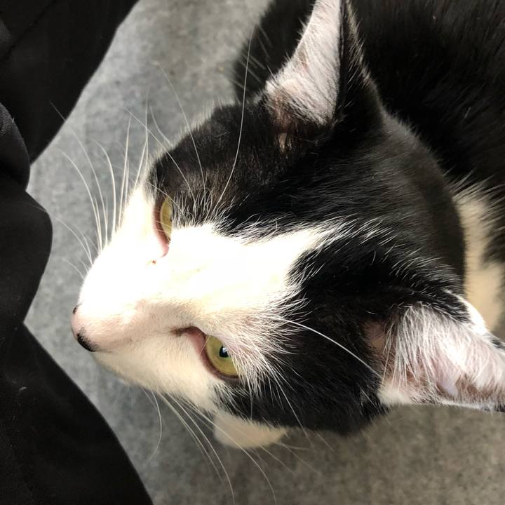 36c742c0 38c5 4633 8f28 84eb82f36bd1 1552447608551