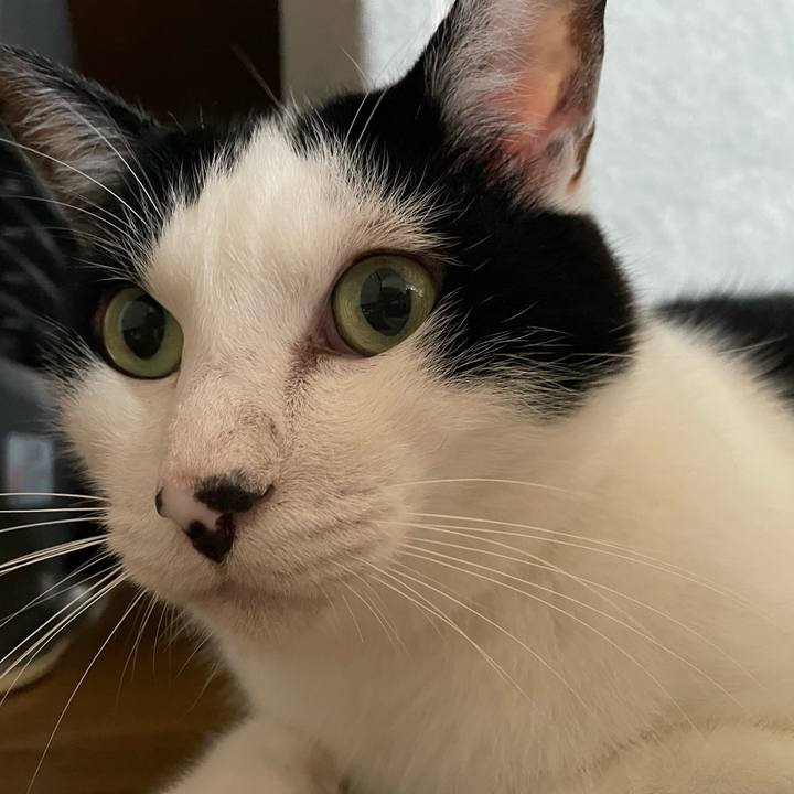 36c75718 b796 4f2b a989 c2ca5c068a46 1688166299155