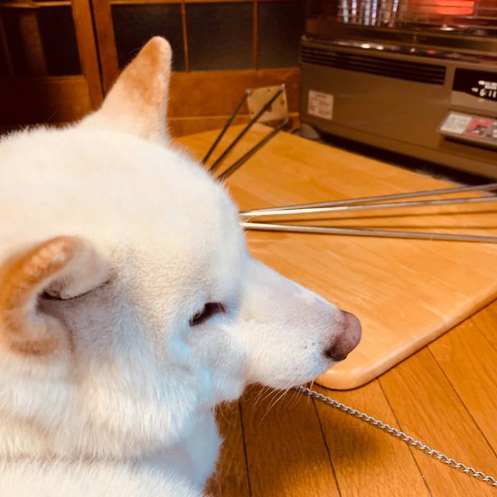 36c79183 6413 4a4a 8fc6 466226a025c7 1580169503444