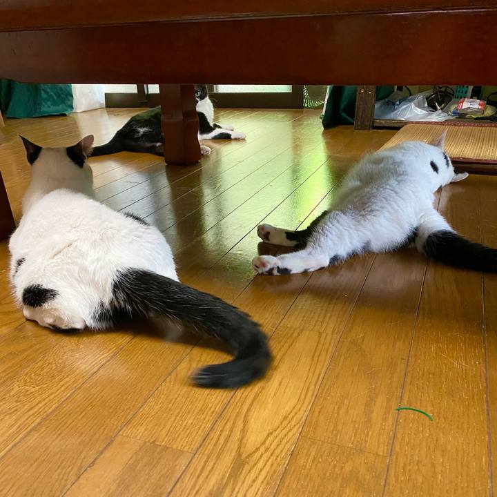 36c7acae 6bcb 4ca0 ab92 3af09065ad6d 1659237414098