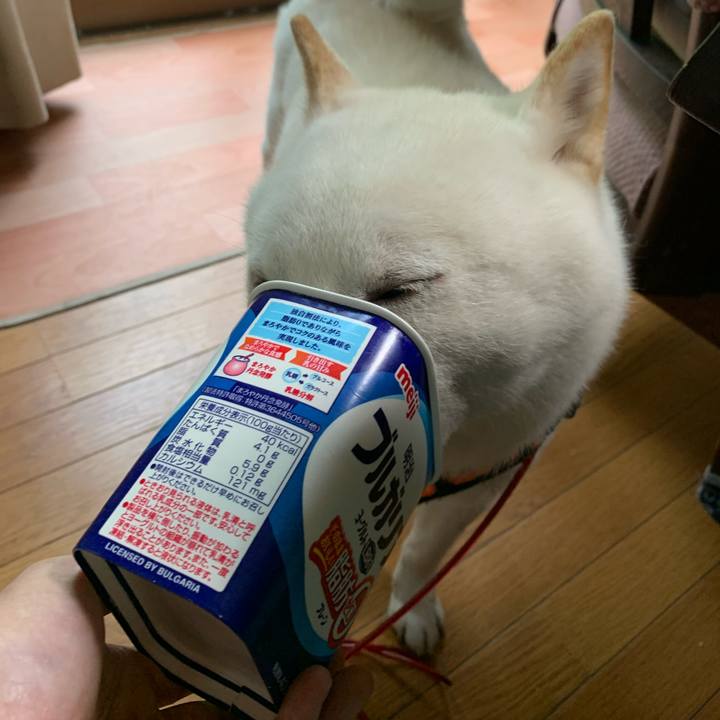 36c7b66c 5795 4622 98ab 06bbfd13881c 1625988954897