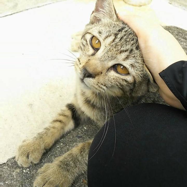 36c7b7e7 0dc4 4118 96de e3167637055e 1508504070620