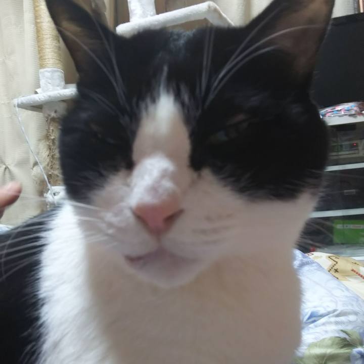 36c7cd80 0ff7 4439 9c4f aeab3dbfeb83 1579475277893