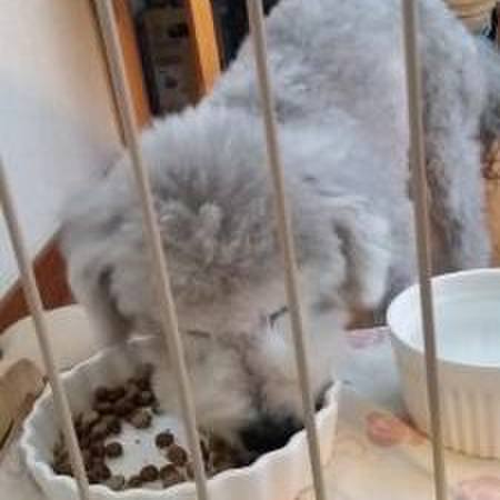 36c7d0cd 9673 40de 8913 e4311c5cf52c 1548256339423