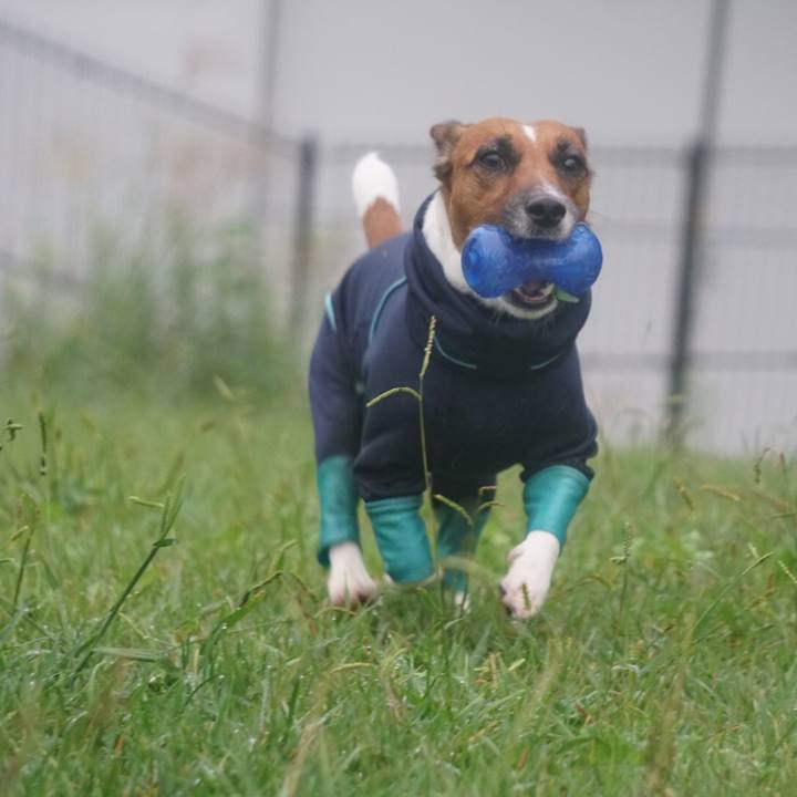 36c7d92f 6473 4f74 b9e9 90e562e28796 1508712002513