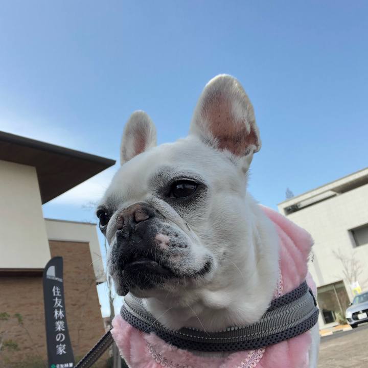 36c7ef77 20ba 402d 9fce 8cc67b7729e8 1645351886115