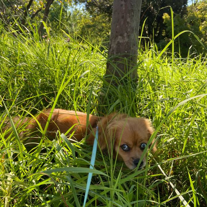 36c80ece eec9 4bac a22f 40caa4982cbb 1599262628546