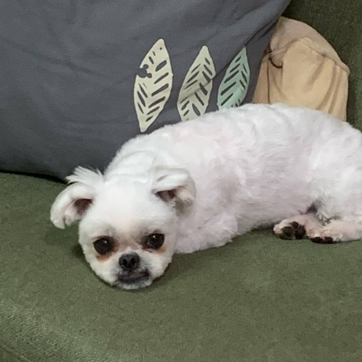 36c82726 bacf 45a7 a01e 84cae94f7930 1691930991206