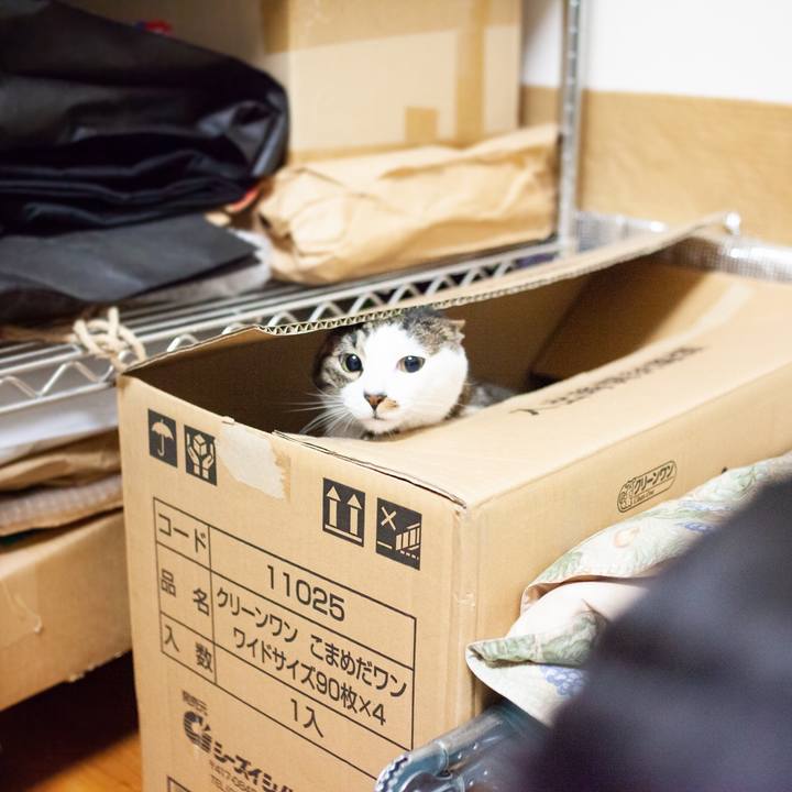 36c88b32 3aea 4da7 9ea7 a870634c945c 1558020436488