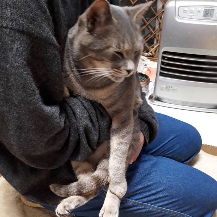 36c8a07a 7bc4 46a2 95ae bd6a77c6d25e 1510663679447