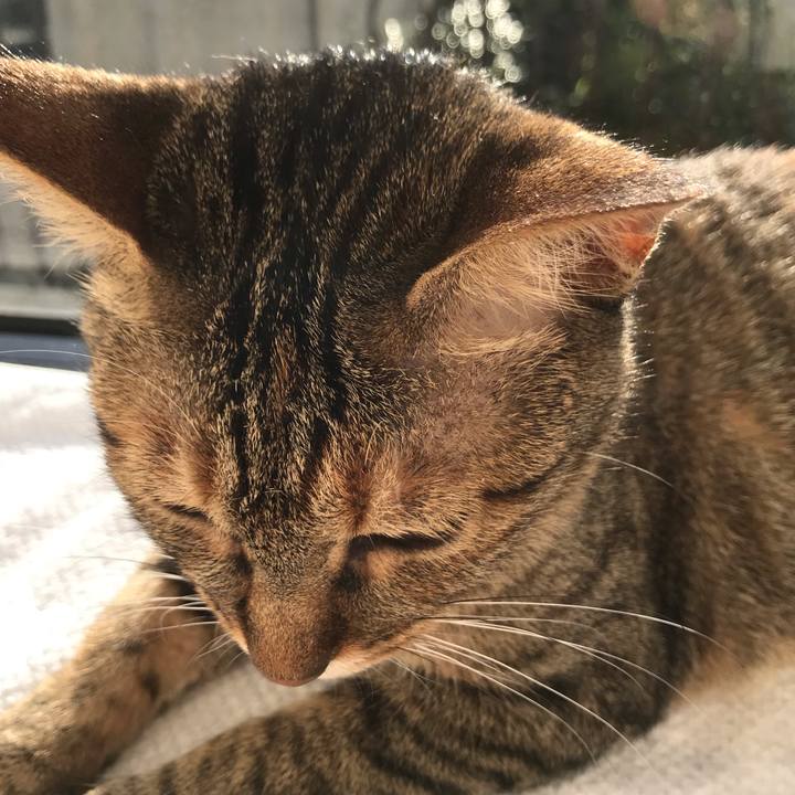 36c8cbdd 65bb 4dd4 b10f b839237ad935 1596331917176