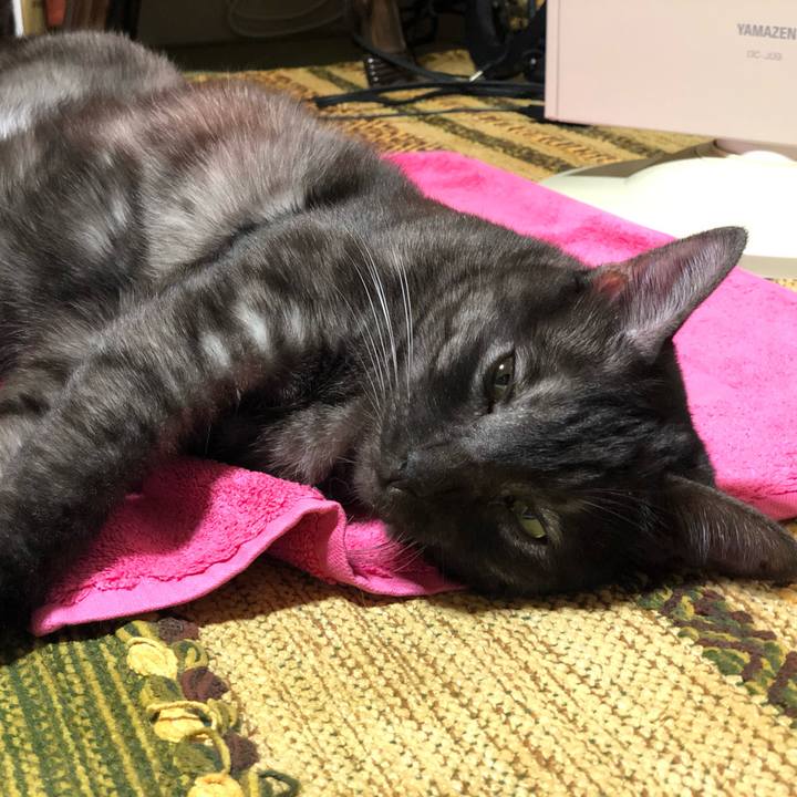 36c8ce0b 38cb 4405 9600 23d7241b7d2f 1603515576253