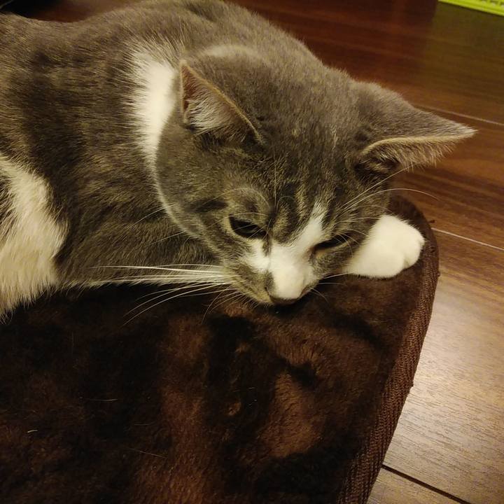 36c9422b 63ab 487d b25a 3550367a619b 1574952220967