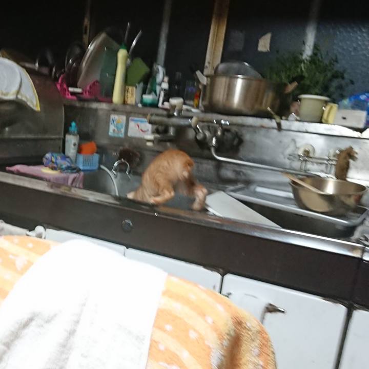 36c969f7 72dc 43dc 9d2c c1ac1c23620f 1631303928325