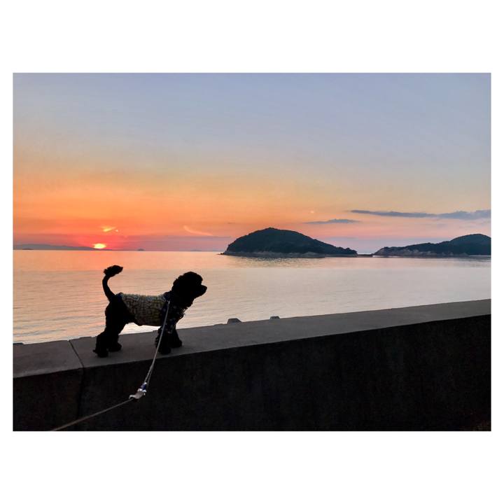 36c980d1 37f7 480c 9a63 3b85587d215f 1541513238800