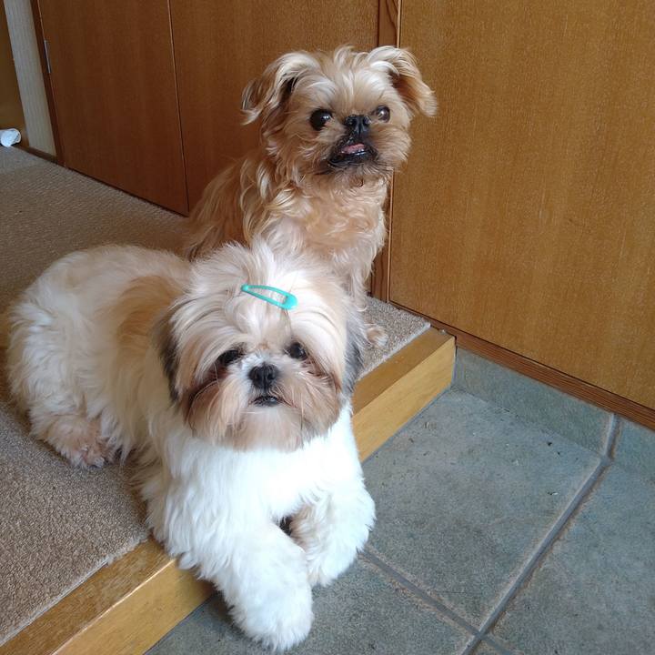 36c98744 9a9b 4bbe a245 3976dfd5f8ae 1607391480529