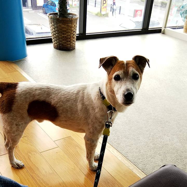 36c9cdec 79ad 4c32 b872 54b05183c1f6 1523076596971