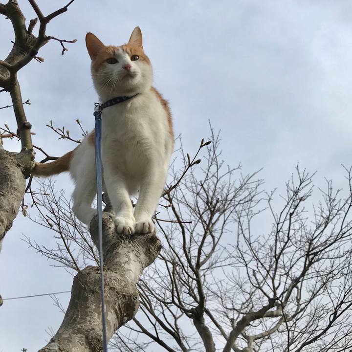 36c9db1d e8c8 47d8 8c12 63c21d033168 1522927342223