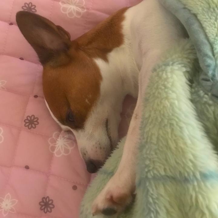 36ca770a e1f3 4386 ac9b 565c021d45eb 1521151762587