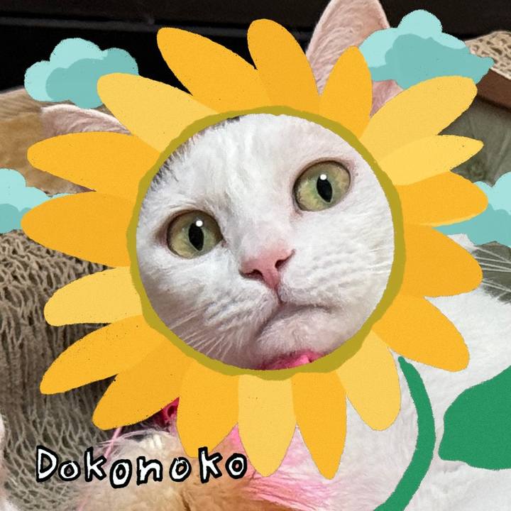 36ca9a3c e97d 43a5 910b e22e9a2d13ae 1723284952795