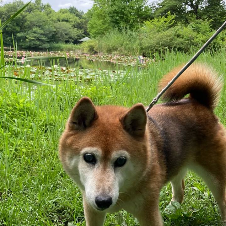 36caad15 d730 4e8f b1ea 7fb21676507c 1719461210547