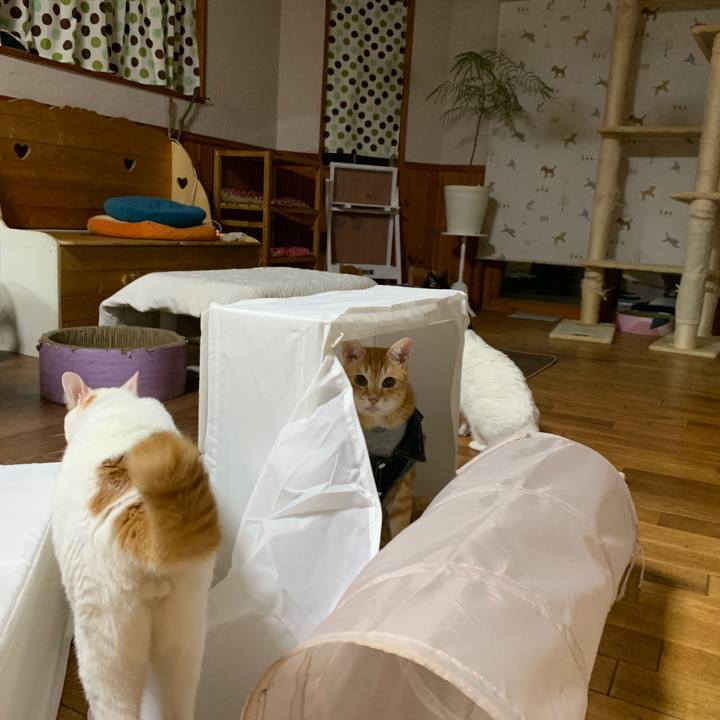 36cac26d 4f62 4a24 8ad6 d120e5df73c7 1654350847233