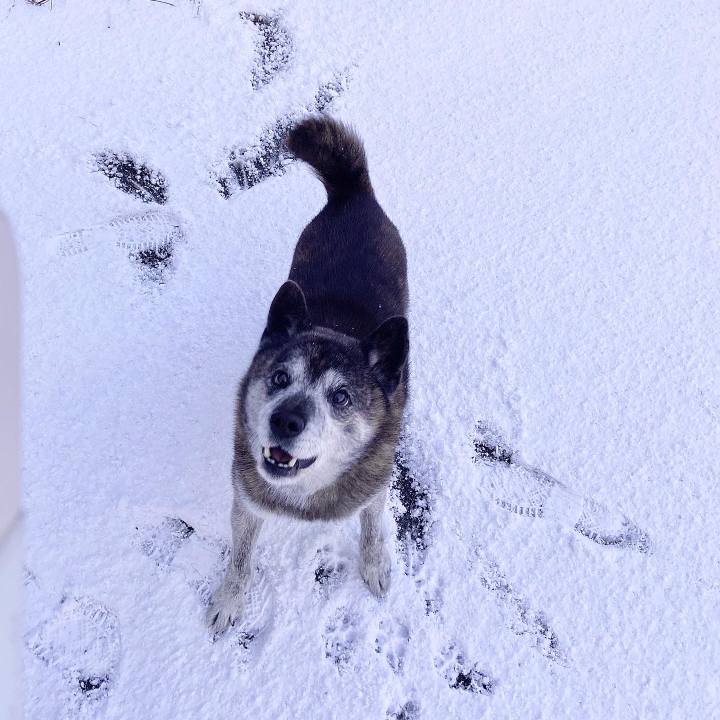 36caf418 4207 43c7 8cee 818918a6132b 1706138083438