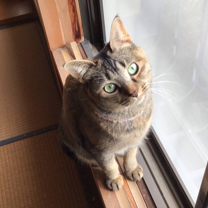 36cb22e9 c986 48ca 90da 09e503ea7271 1615851822173