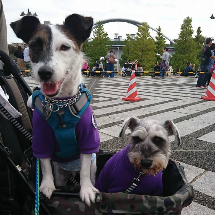 36cb3773 1332 4144 881f 1cb84be3ef5f 1571551018744