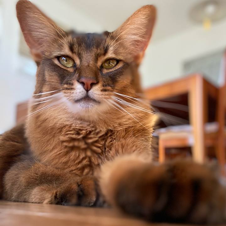 36cb5284 6769 4839 8270 51e37645e007 1666156905476