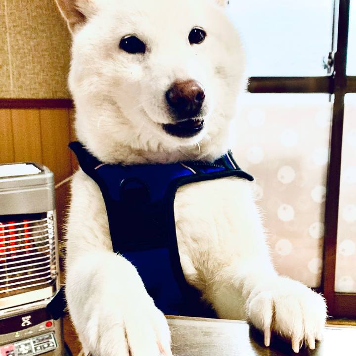 36cb6119 95f0 41d2 af13 17d93068a828 1645676202601