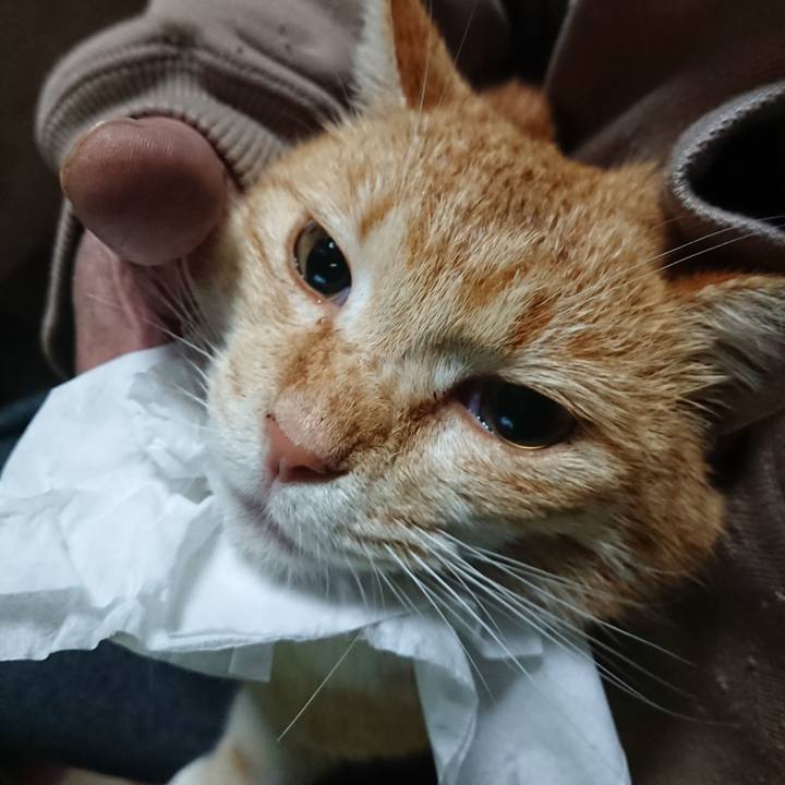 36cb6456 5836 491d 9eda b3ee6d9c1b7a 1583875115593