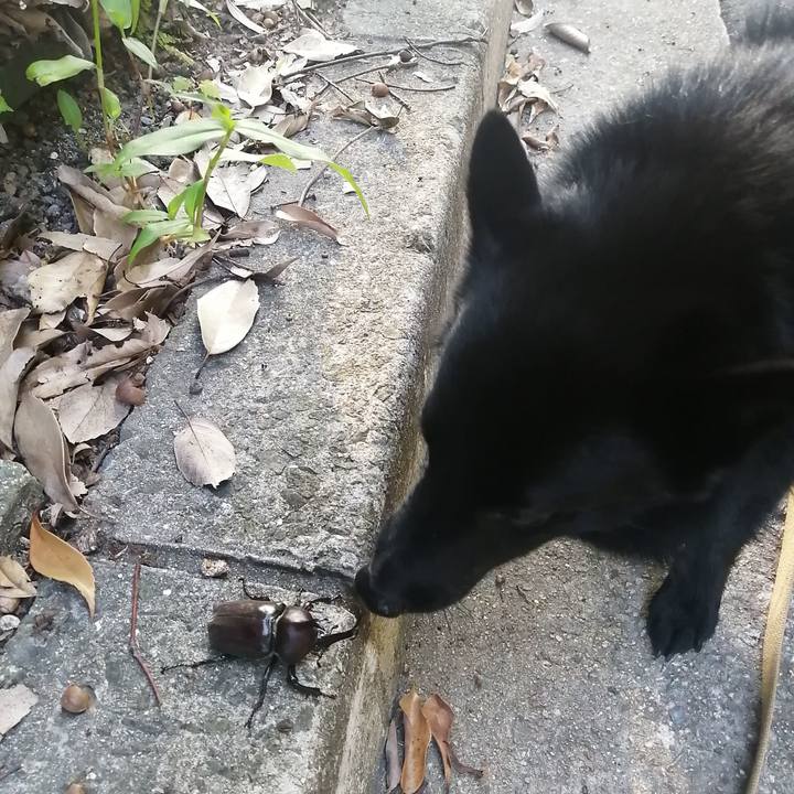 36cb6639 9c57 4711 b36a f0d4ba3db16f 1626988500736