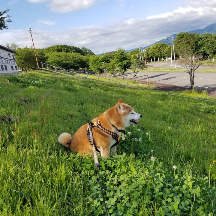 36cb7411 fee9 4c40 b663 f95ea3f06c69 1654759386057