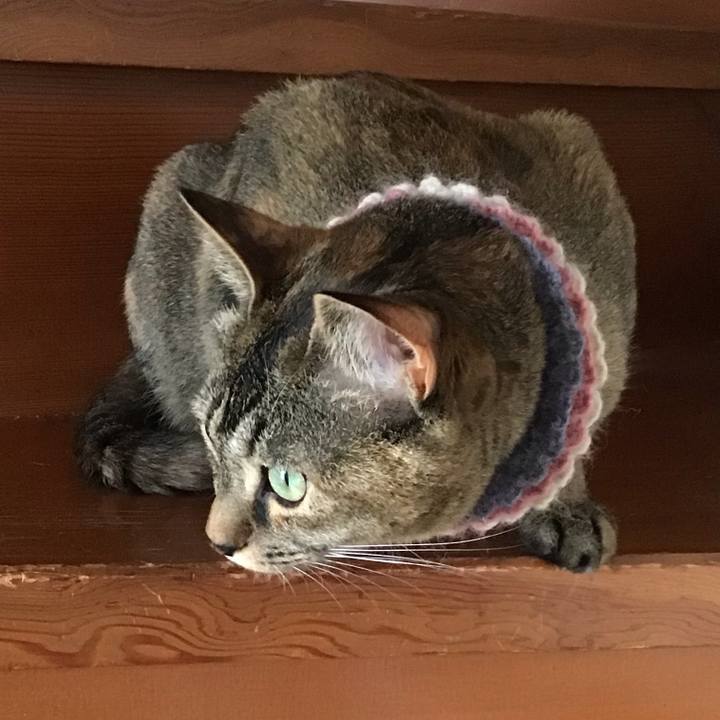 36cb7d0a 6314 48ca 8c51 a62806784776 1625292630226