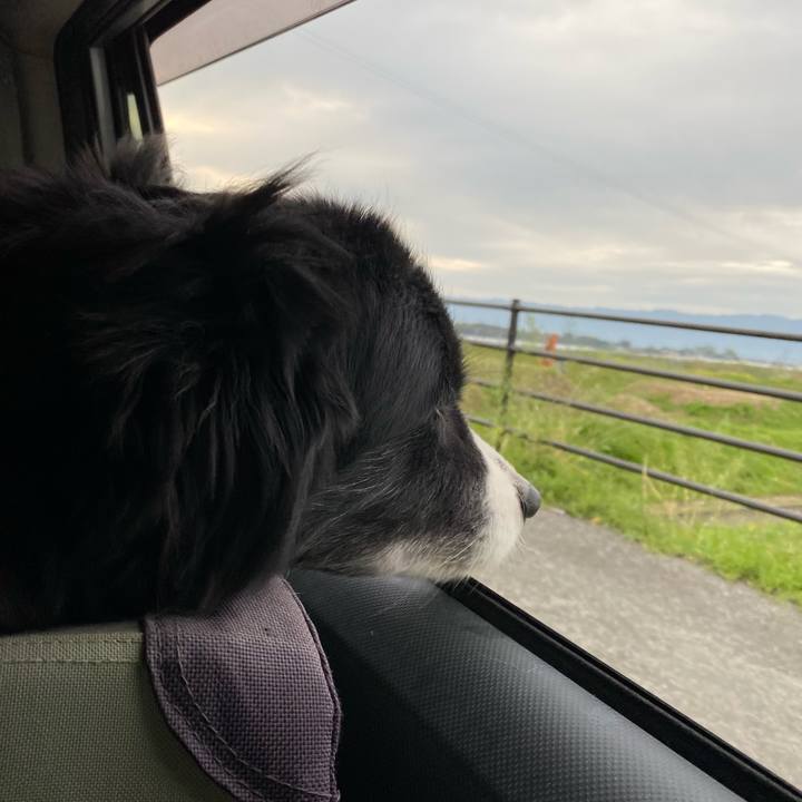 36cb80b7 c682 45f7 ab9e 335223800771 1680213912478