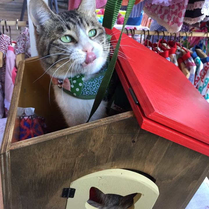 36cb8b7b d4d9 47ae acc2 a9f522595964 1521268580258