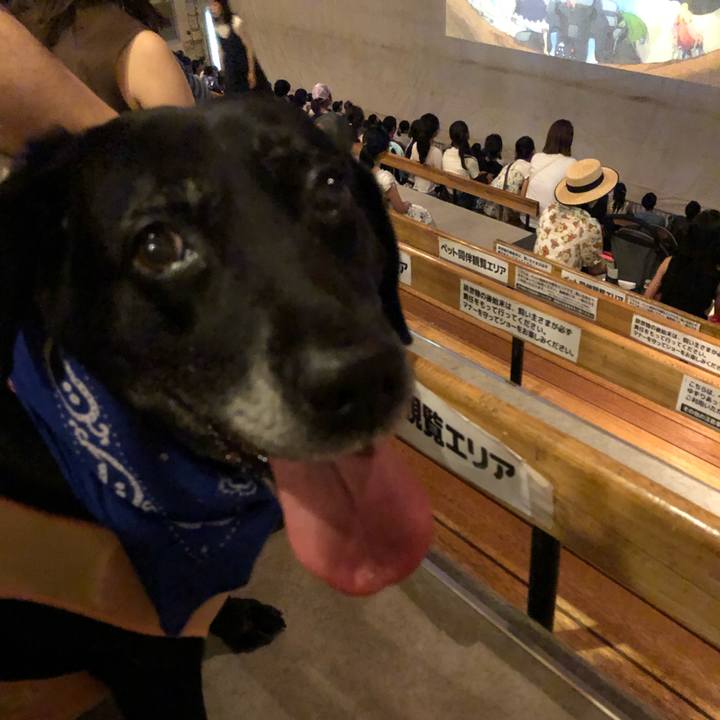 36cb96e9 550d 41f5 9cbe 464c58d57e00 1564968761181