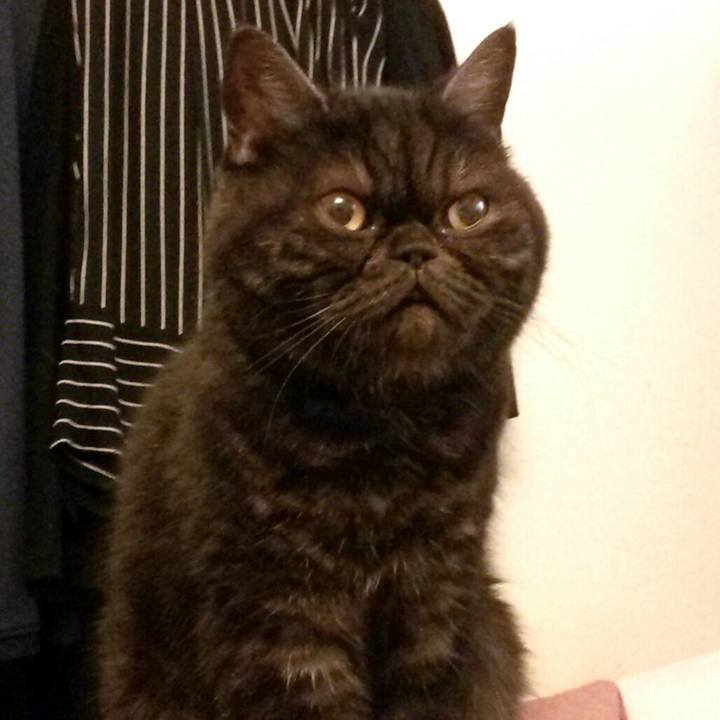 36cbb2ff 12d9 4198 b65e 975e9c2e3e55 1544319225704