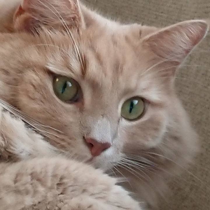 36cbceab 61ba 41d5 b573 92b3f6e09a3b 1556678200959