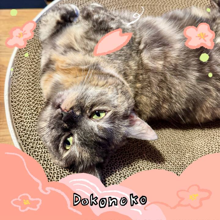 36cbdb5e 9333 4d47 aaad 3b44a029763d 1775868518482