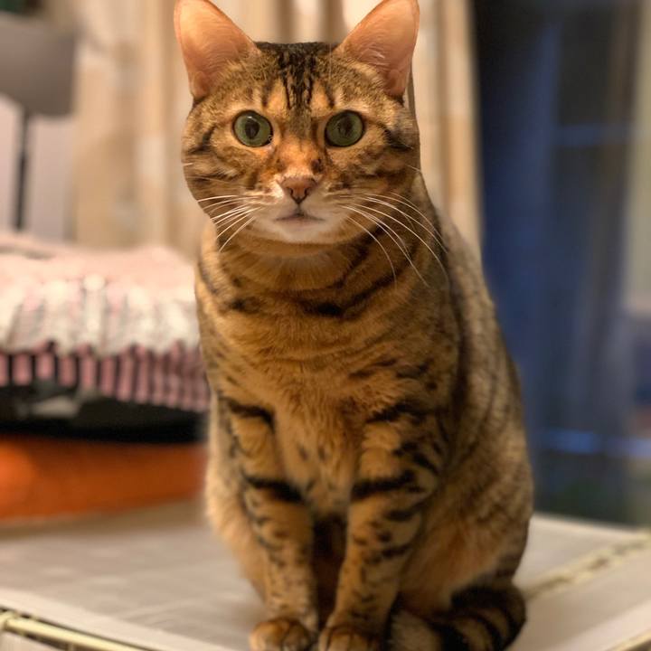 36cbdfa5 3d75 4497 a604 70b0e692d792 1611789849427