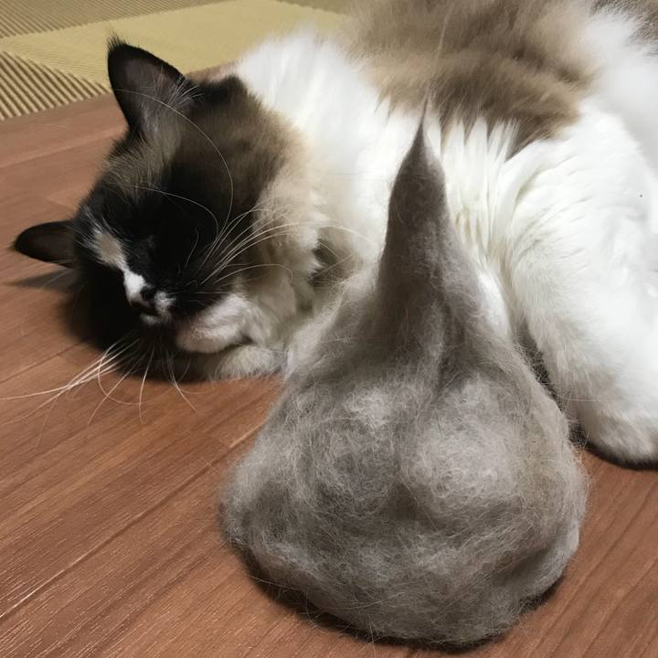 36cbec44 18dc 4665 9061 9b2804b533c7 1521031855307