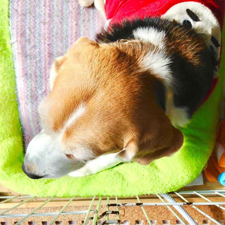 36cbffdf a66b 4aee 86a1 e4fe30a4aa52 1768897446693